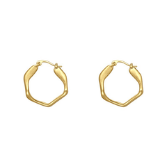 Minimalist Classic Loop Style Irregular Golden Matte Korean Hoop Earrings for Women